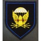 Шеврон военнослужащих 38 отдельного полка связи ВДВ