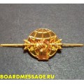 Петличная эмблема войск РЭБ золотого цвета